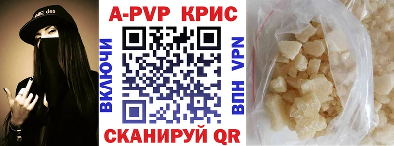 закладка  Ковров  APVP мука 
