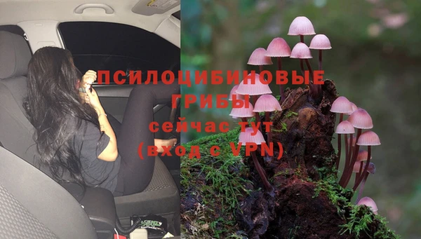 наркотики Абинск