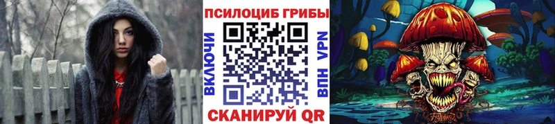 продажа наркотиков  Ковров  Галлюциногенные грибы прущие грибы 